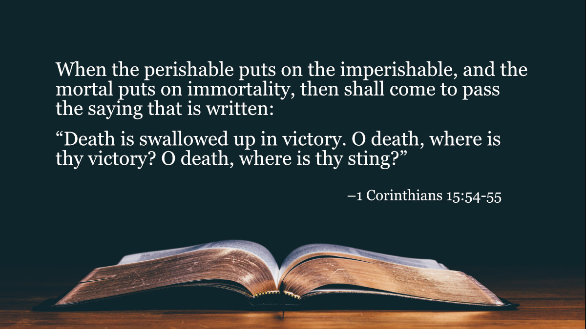 Your Daily Bible Verses Corinthians Integrated Catholic