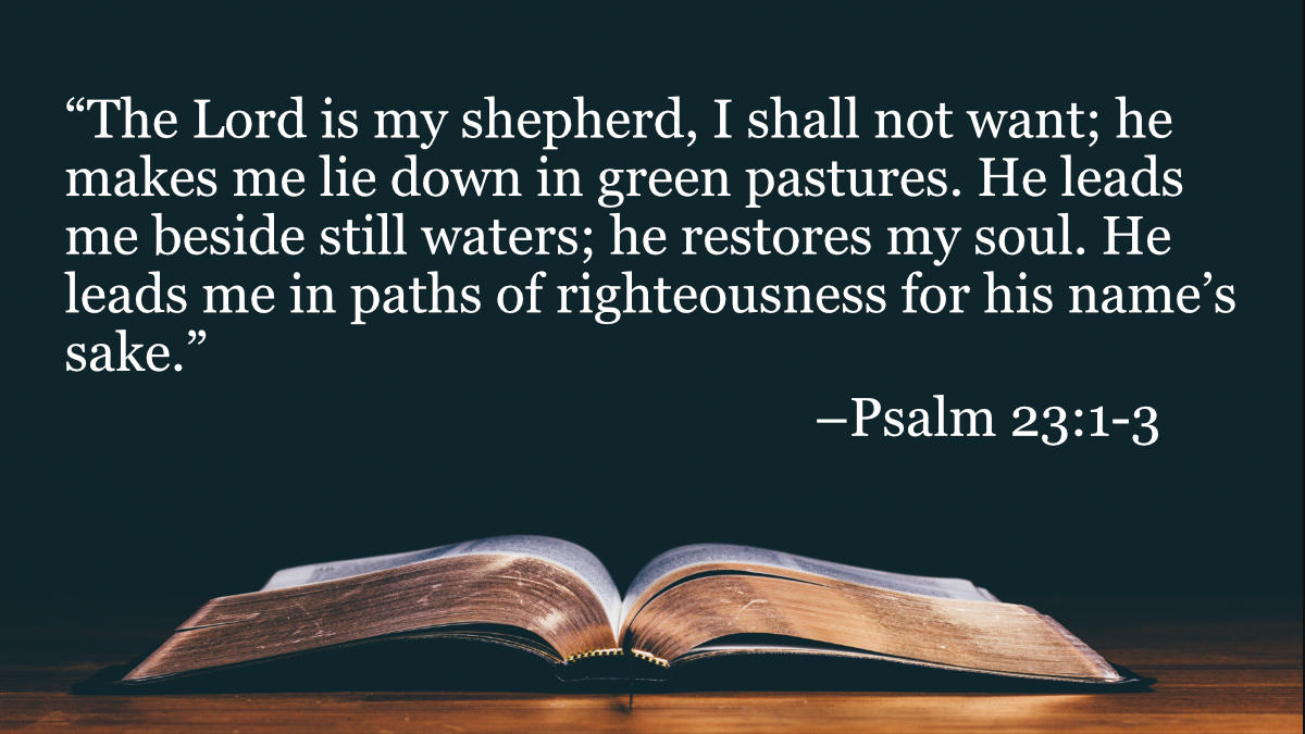 Your Daily Bible Verses Psalm Integrated Catholic Life