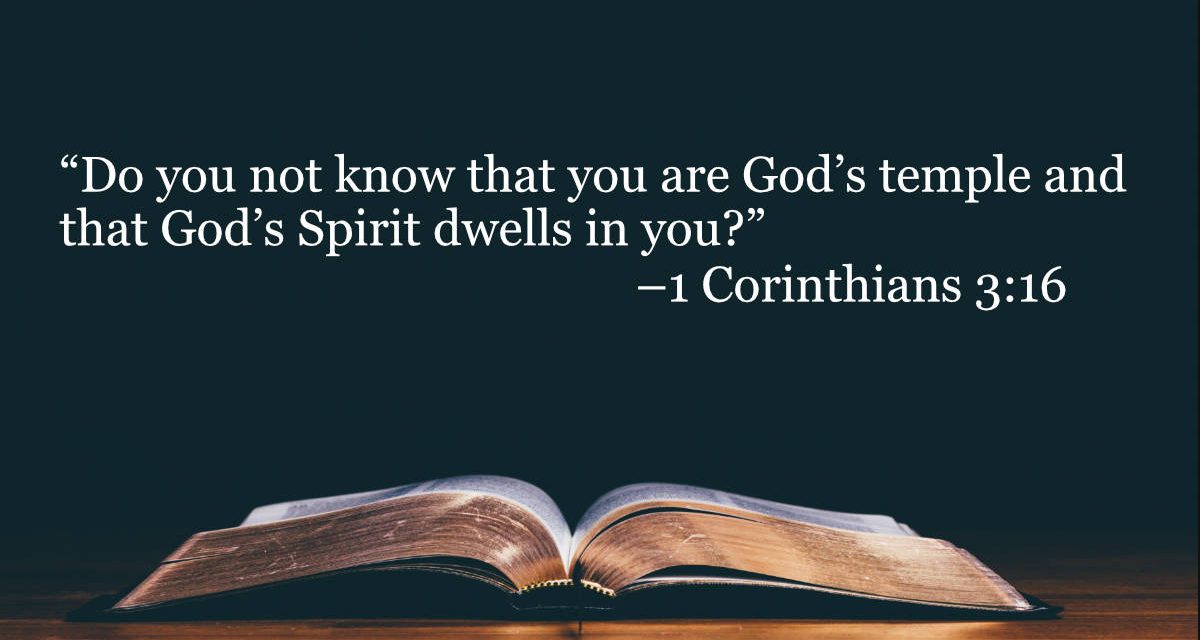 Your Daily Bible Verses — 1 Corinthians 3:16
