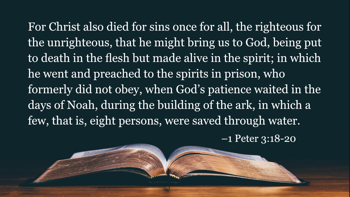 your-daily-bible-verses-1-peter-3-18-20-integrated-catholic-life