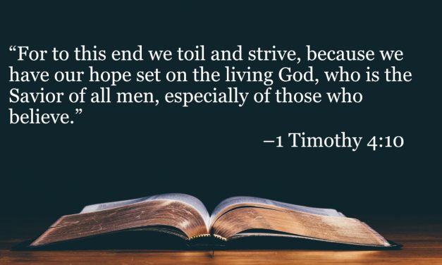 Your Daily Bible Verses — 1 Timothy 4:10