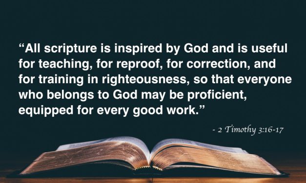 Your Daily Bible Verses — 2 Timothy 3:16-17
