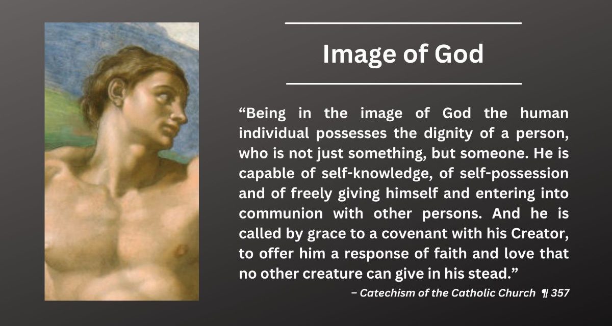 Daily Catholic Quote — Image of God