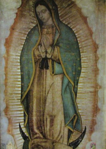 Daily Catholic Quote from Our Lady of Guadalupe