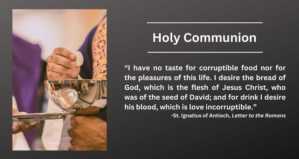 Daily Catholic Quote — Saint Ignatius of Antioch