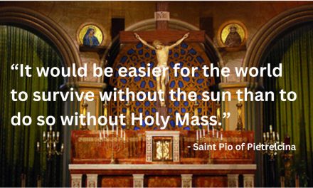 Daily Catholic Quote — Saint Pio of Pietrelcina