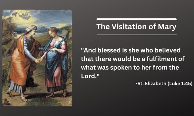Daily Catholic Quote — Saint Elizabeth