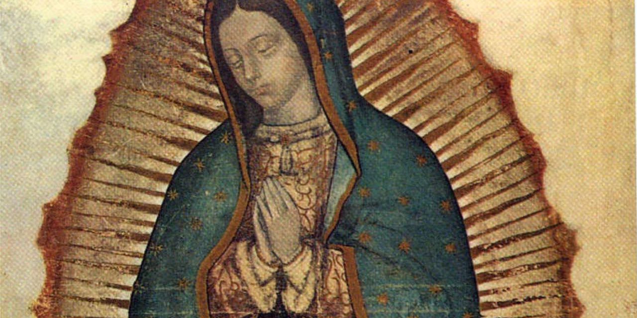 Our Merciful Mother — Reflections on Our Lady of Guadalupe