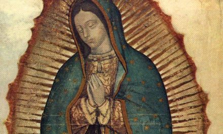 Our Merciful Mother — Reflections on Our Lady of Guadalupe