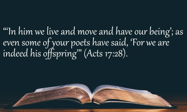 Your Daily Bible Verses — Acts 17:28