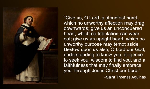 Daily Quote — Saint Thomas Aquinas