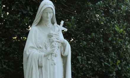 Carmelite Musings | St. Thérèse