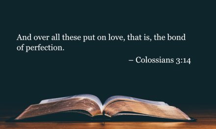 Your Daily Bible Verses — Colossians 3:14