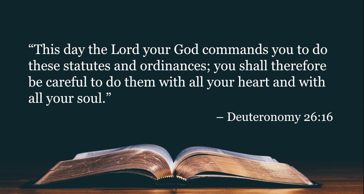 Your Daily Bible Verses — Deuteronomy 26:16