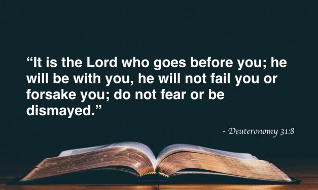 Your Daily Bible Verses — Deuteronomy 31:8