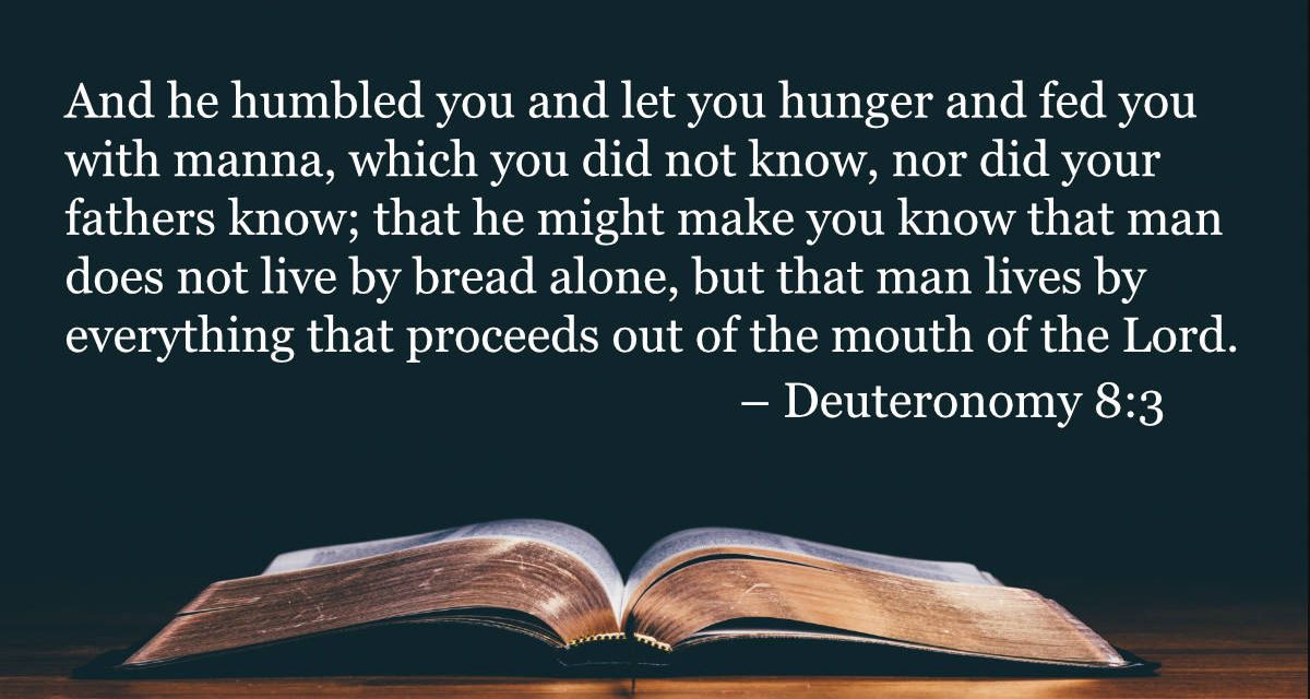 Your Daily Bible Verses — Deuteronomy 8:3