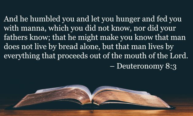 Your Daily Bible Verses — Deuteronomy 8:3