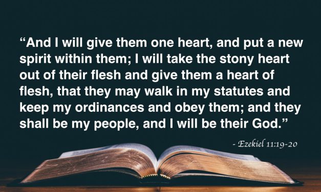 Your Daily Bible Verses — Ezekiel 11:19-20