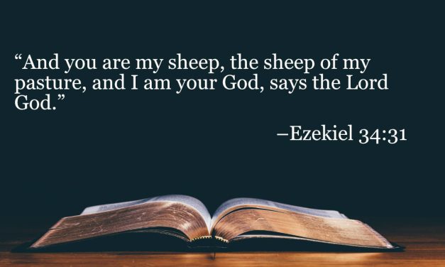 Your Daily Bible Verses — Ezekiel 34:31