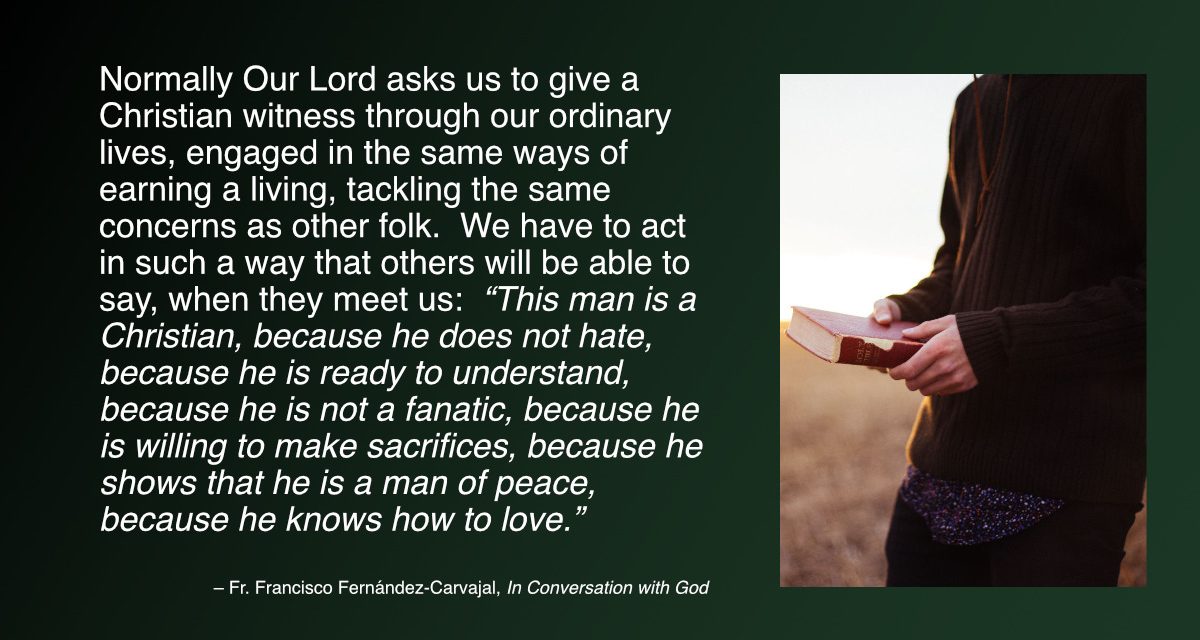 Daily Quote — Fr. Francisco Fernández-Carvajal
