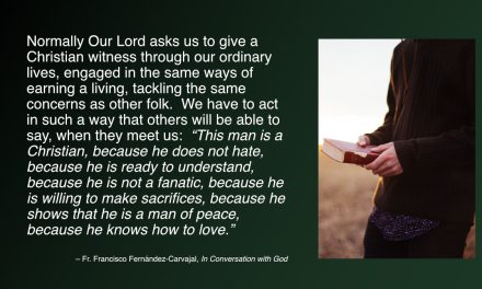 Daily Quote — Fr. Francisco Fernández-Carvajal