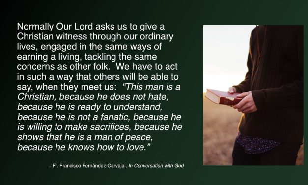 Daily Quote — Fr. Francisco Fernández-Carvajal