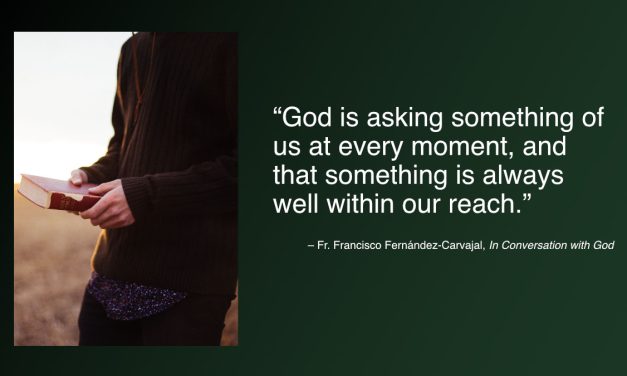 Daily Catholic Quote — Fr. Francisco Fernández-Carvajal