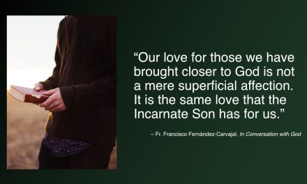 Daily Quote — Fr. Francisco Fernández-Carvajal