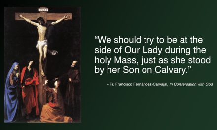 Daily Quote — Fr. Francisco Fernández-Carvajal
