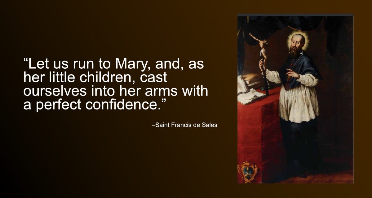Daily Quote — Saint Frances de Sales