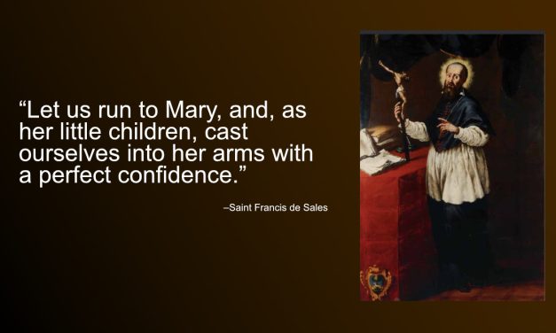 Daily Quote — Saint Frances de Sales