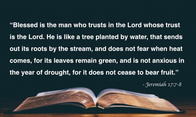 Your Daily Bible Verses — Jeremiah 17:7-8