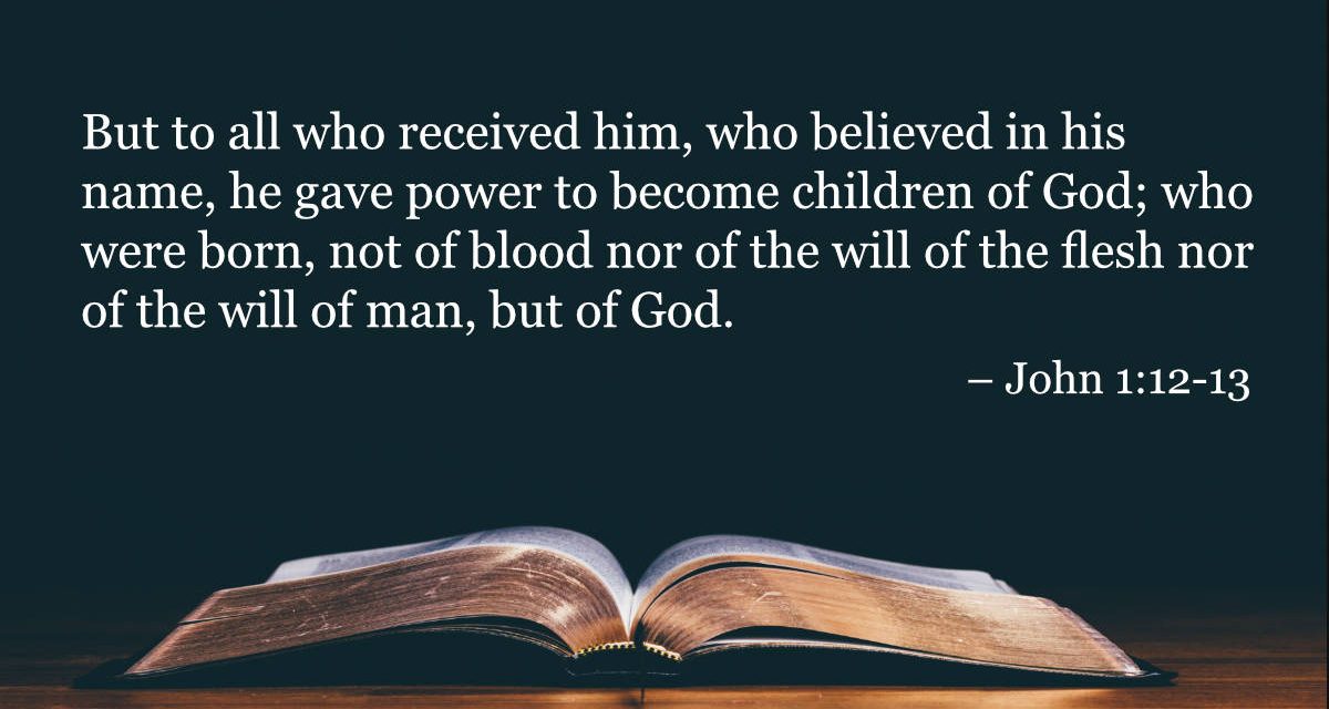 Your Daily Bible Verses John 1 12 13 Integrated Catholic Life 
