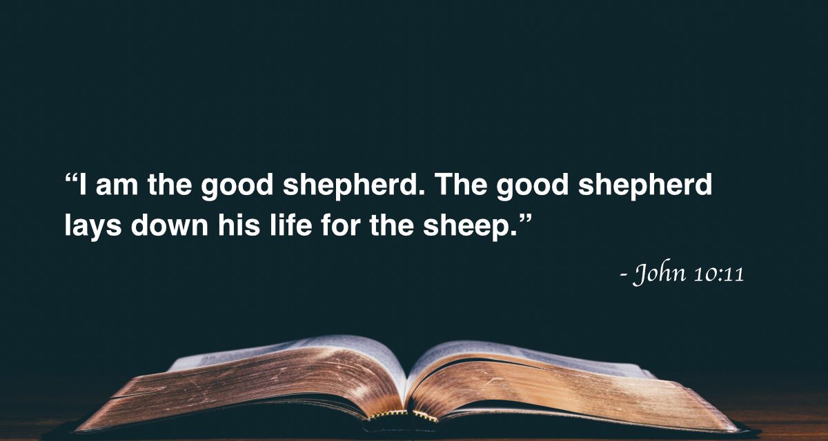 Your Daily Bible Verses — John 10:11