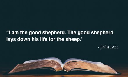 Your Daily Bible Verses — John 10:11