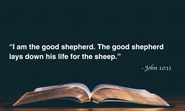 Your Daily Bible Verses — John 10:11