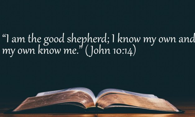 Your Daily Bible Verses — John 10:14