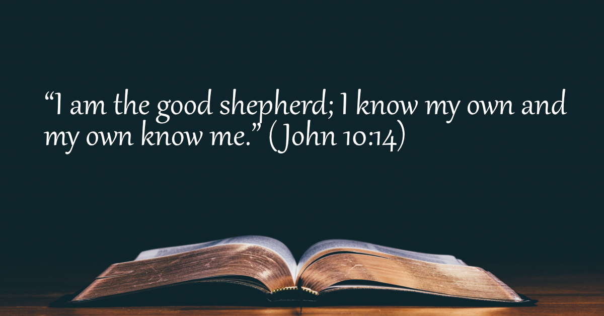 Your Daily Bible Verses — John 10:14