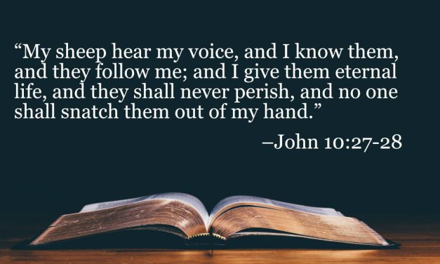Your Daily Bible Verses — John 10:27-28
