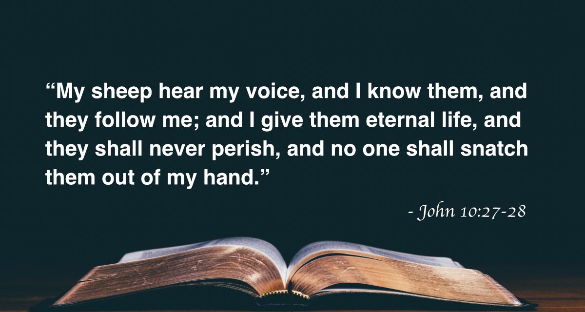 Your Daily Bible Verses — John 10:27-28