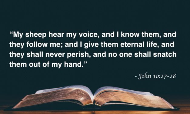 Your Daily Bible Verses — John 10:27-28