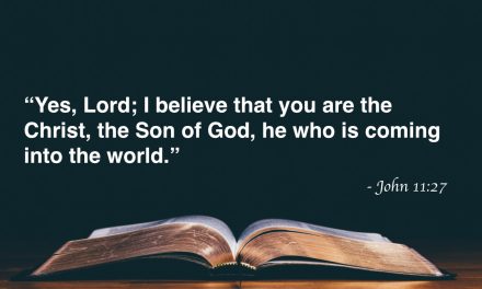 Your Daily Bible Verses — John 11:27