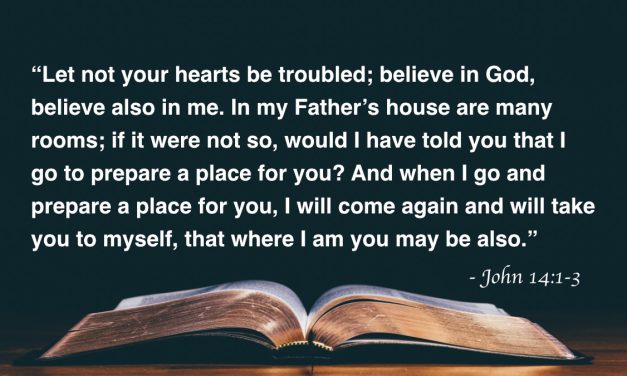 Your Daily Bible Verses — John 14:1-3