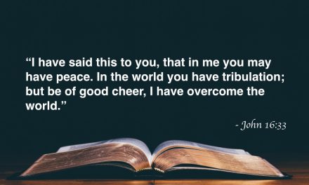 Your Daily Bible Verses — John 16:33