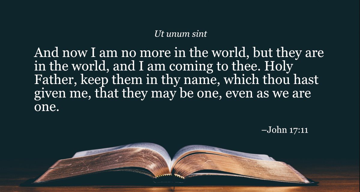 Your Daily Bible Verses — John 17:11