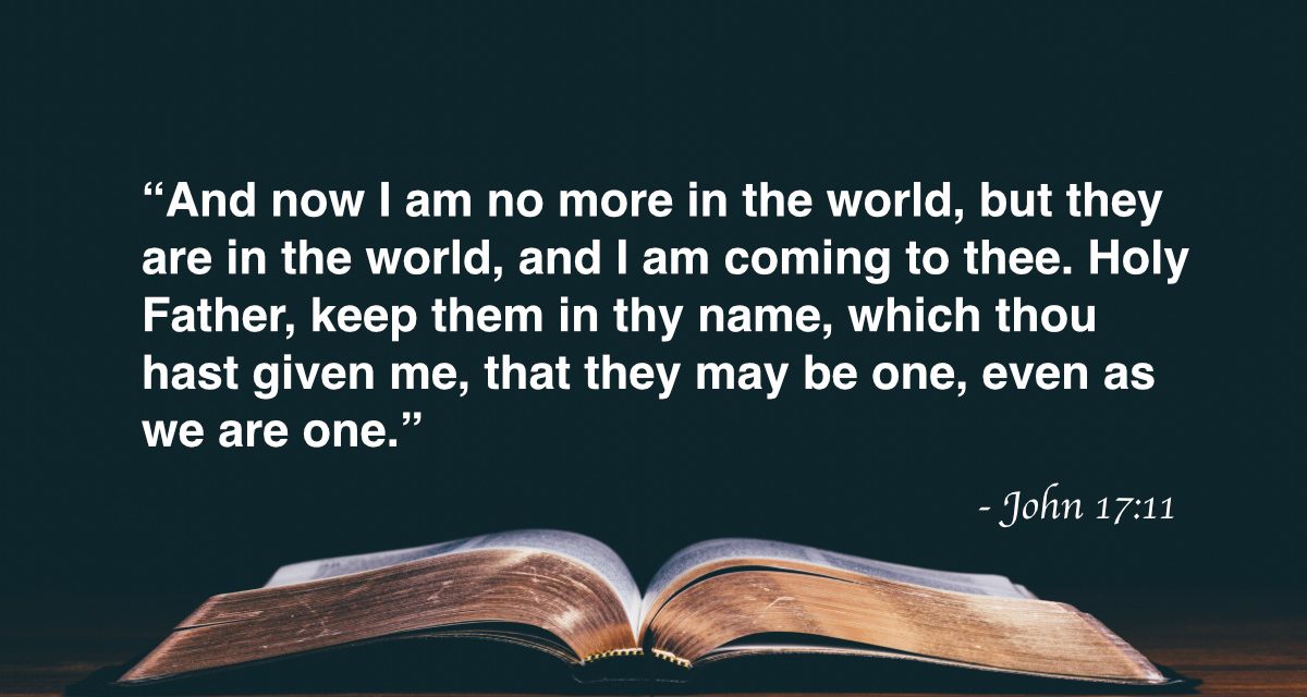 Your Daily Bible Verses — John 17:11