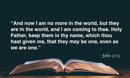 Your Daily Bible Verses — John 17:11