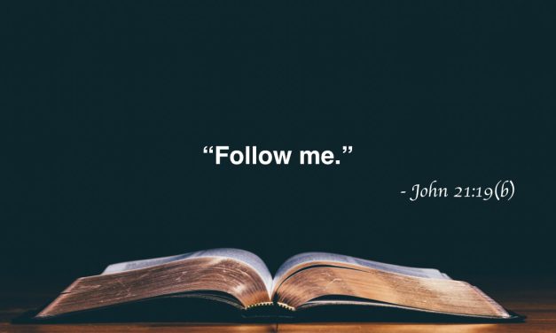 Your Daily Bible Verses — John 21:19