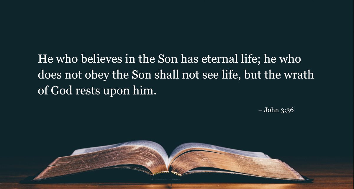 Your Daily Bible Verses — John 3:36