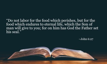 Your Daily Bible Verses — John 6:27